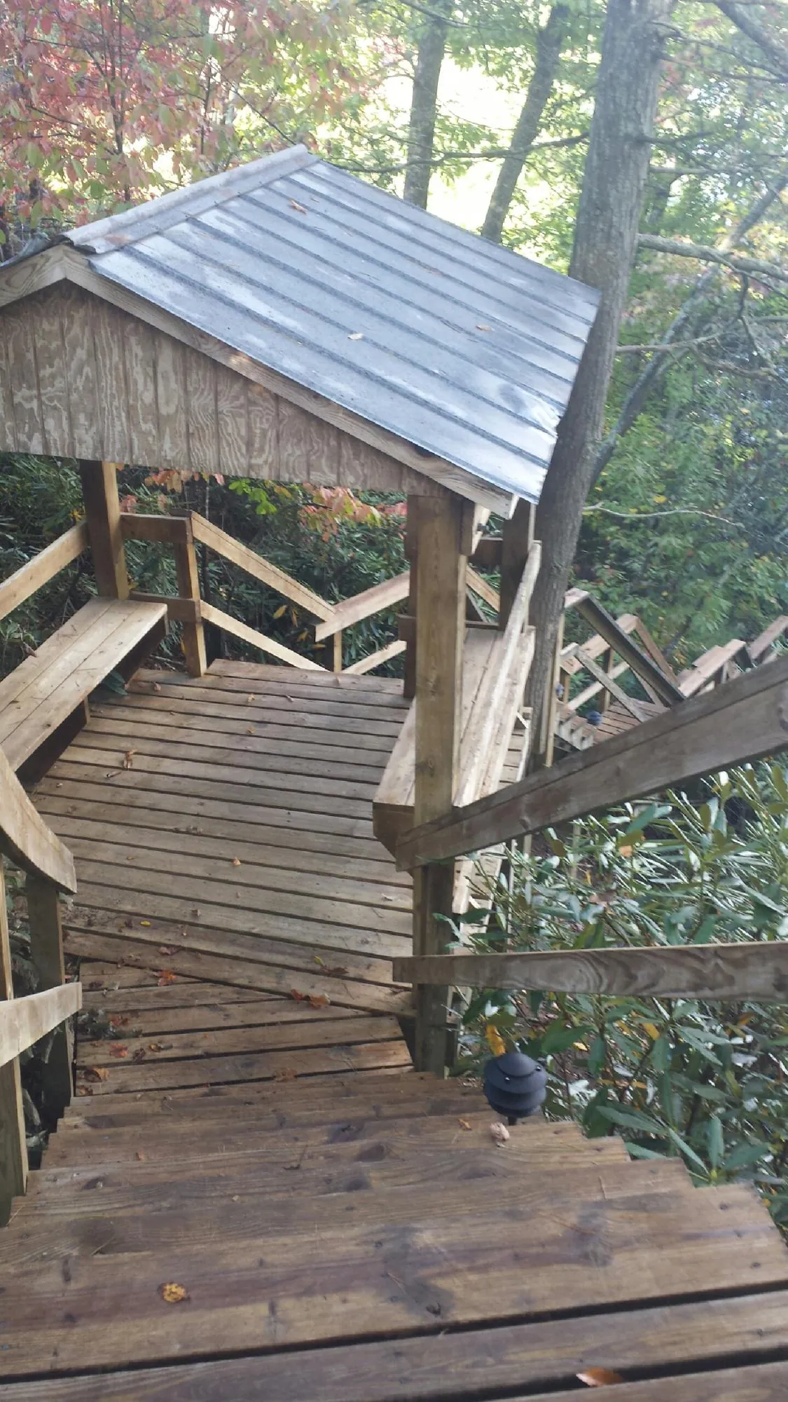 Metal roofed shelter over wooden steps on a wooded walkway — Skylight Repair & Installation work by our crew in Blue Creek
